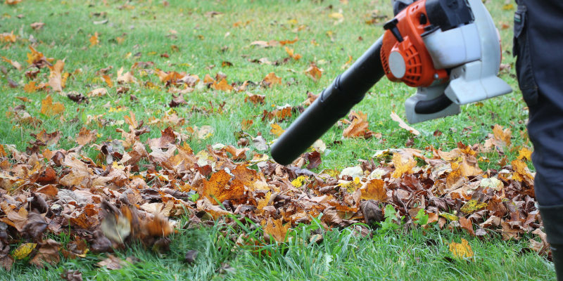 Lawn Equipment Parts in Jackson, Ohio